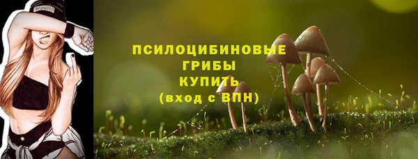 a pvp Козельск